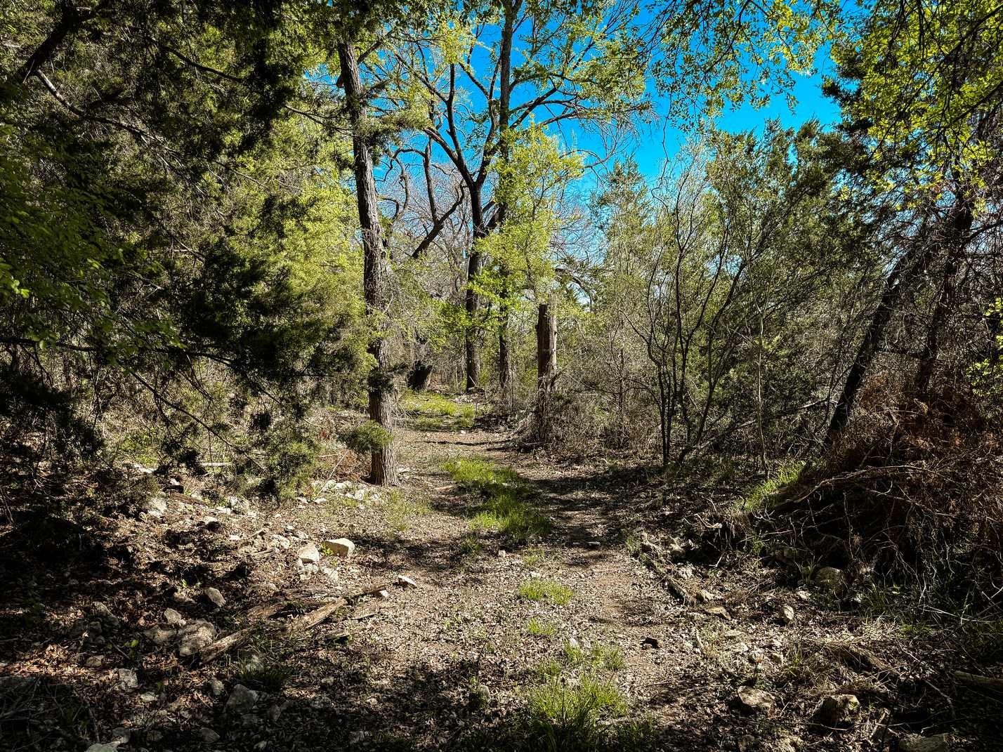 730 Cr 174 Gatesville TX 76528