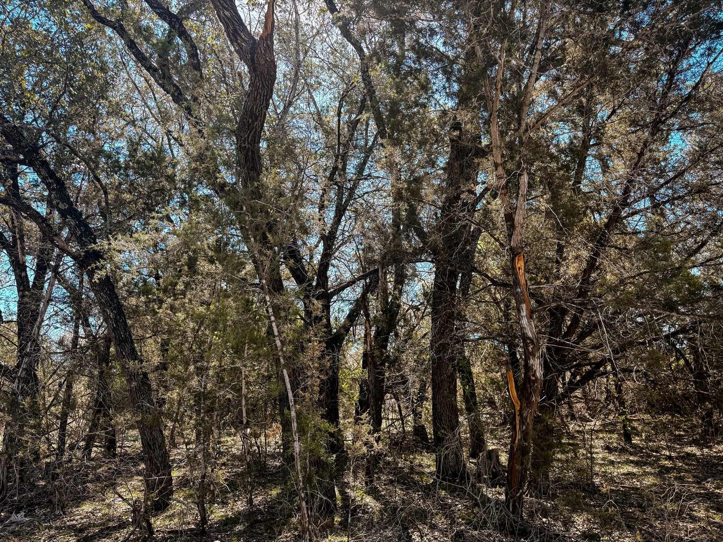 730 Cr 174 Gatesville TX 76528