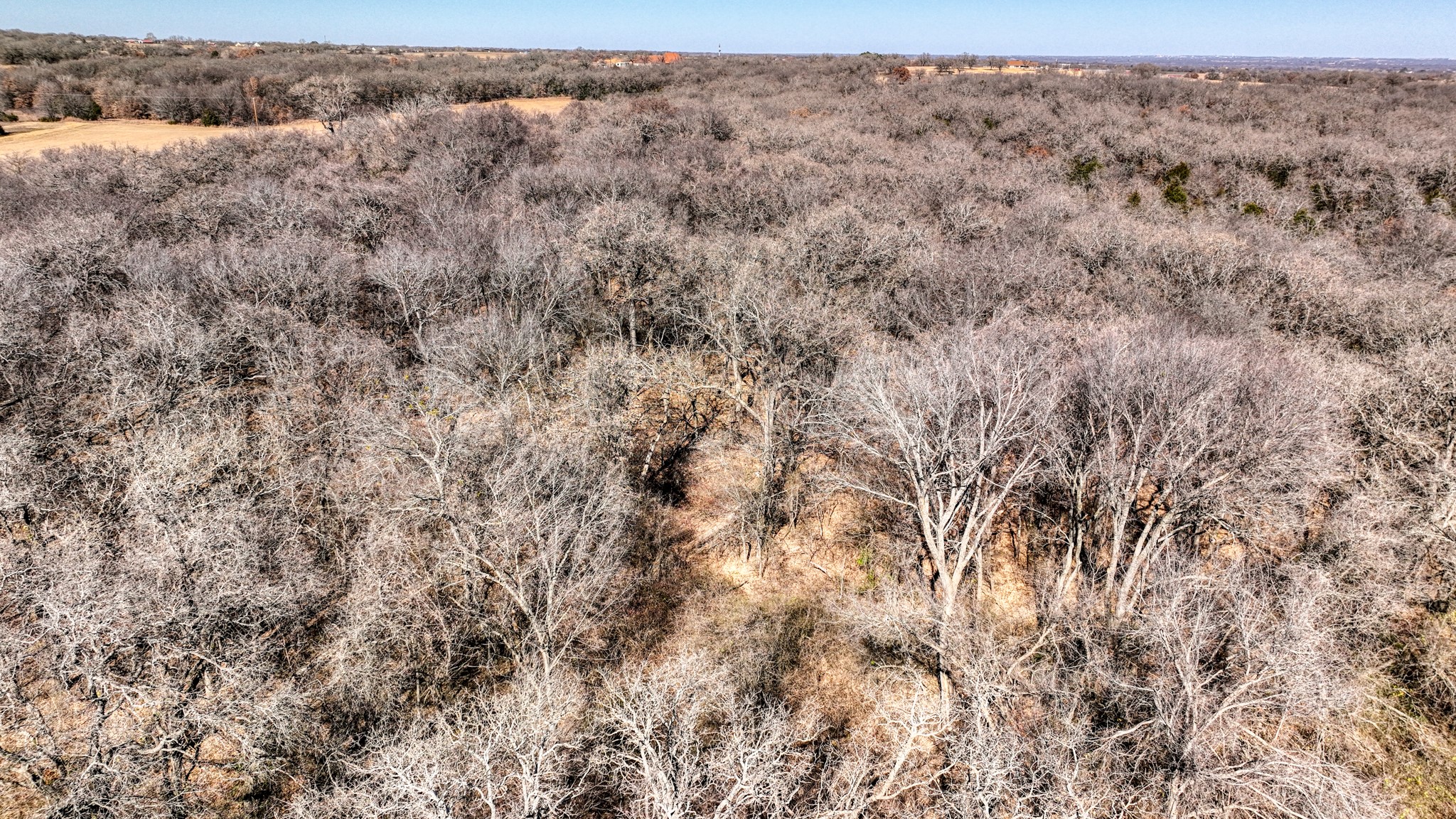 Tbd Farm To Market 2048 Boyd TX 76023
