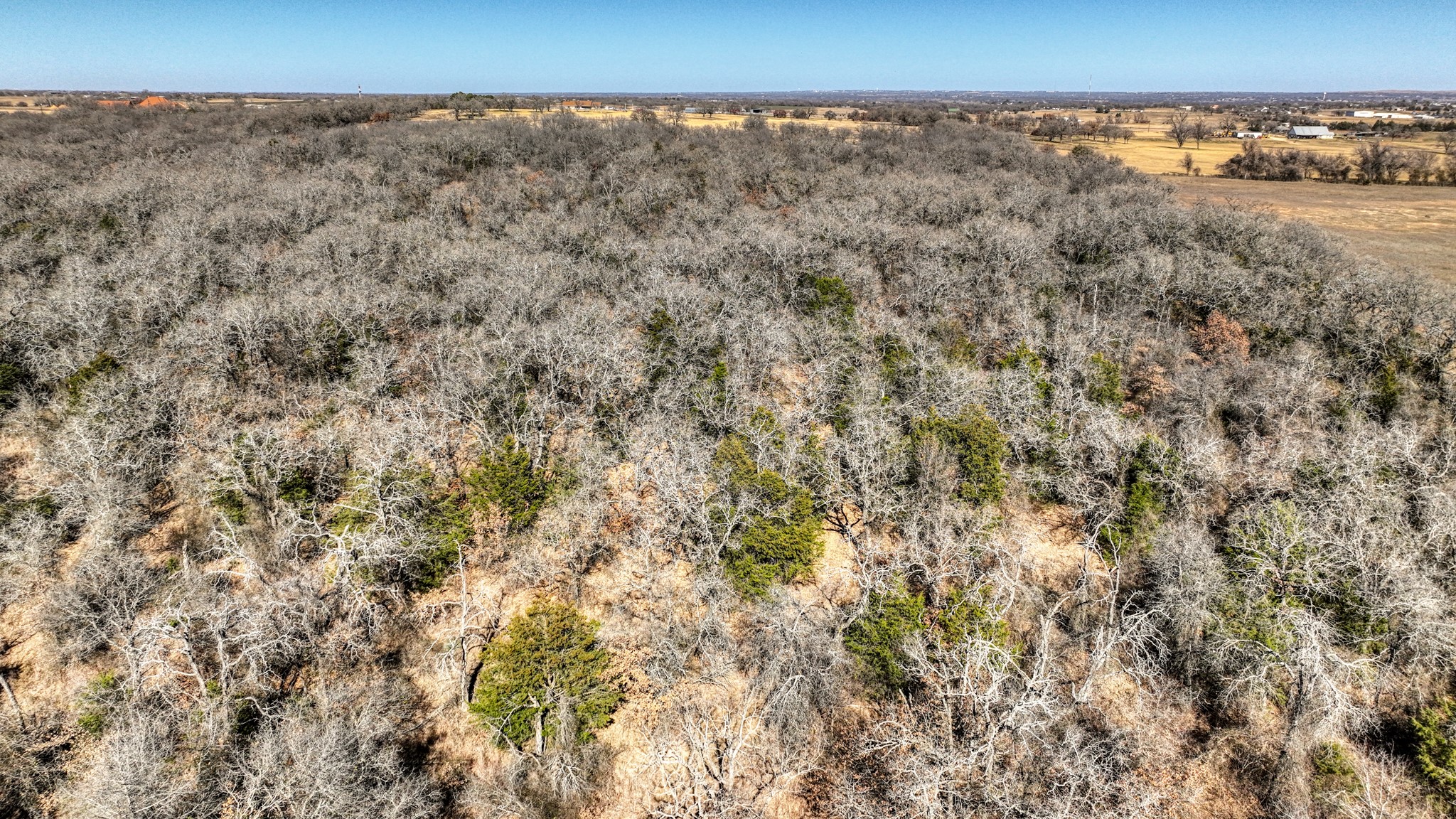 Tbd Farm To Market 2048 Boyd TX 76023
