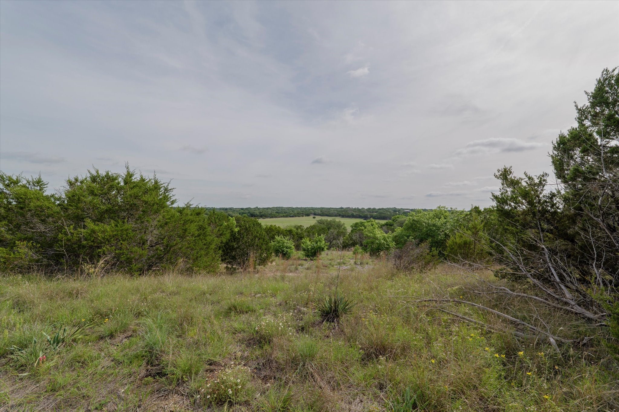 Tbd Mustang Purmela TX 76566