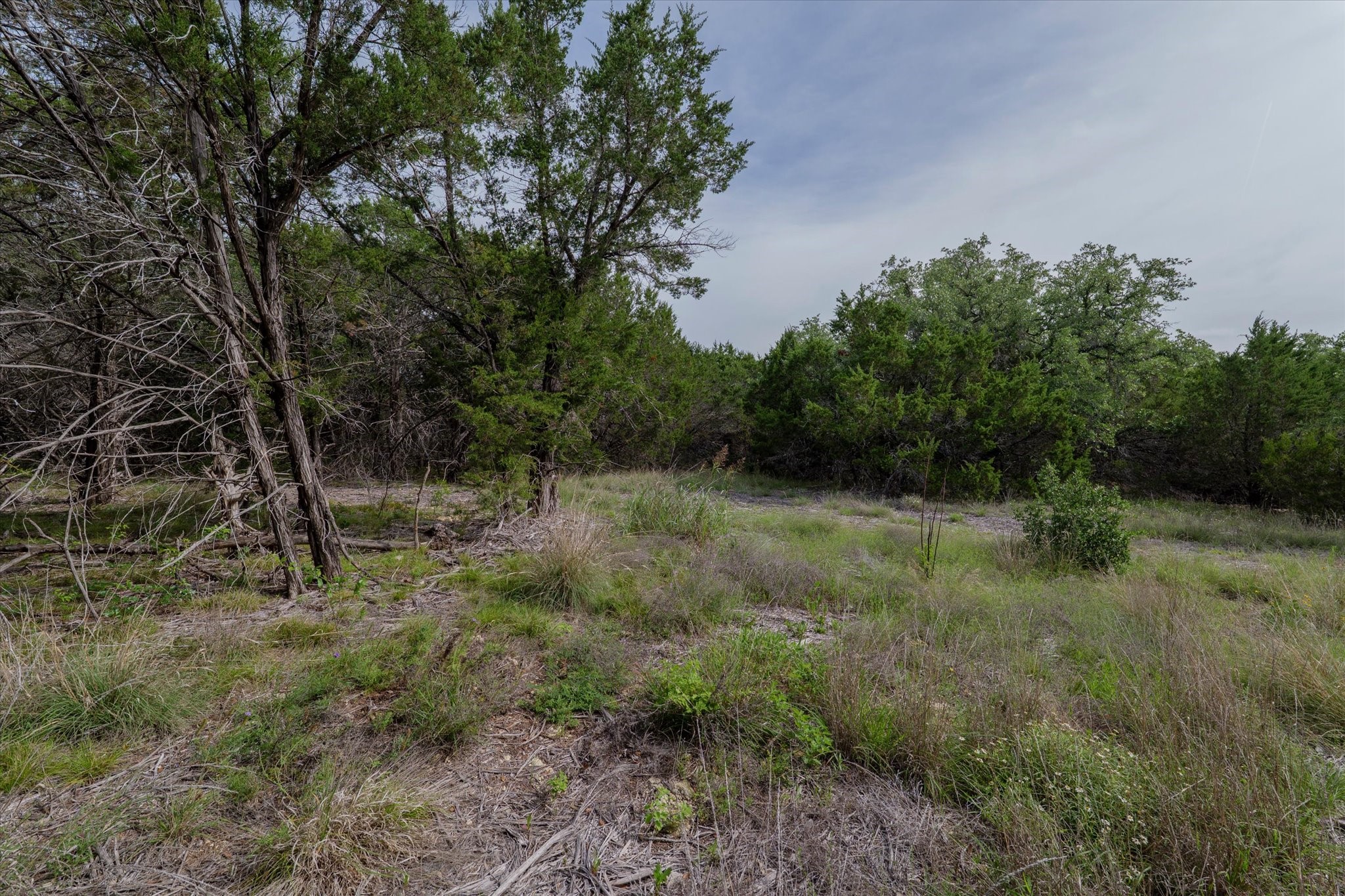 Tbd Mustang Purmela TX 76566