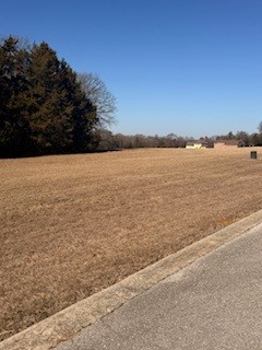 Tbd Dublin Circle Gordonville TX 76245