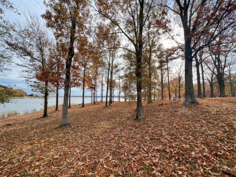 Lot 13 Eagles Nest Drive Mount Vernon TX 75457