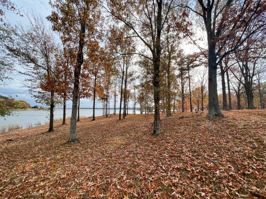 Lot 13 Eagles Nest Drive Mount Vernon TX 75457