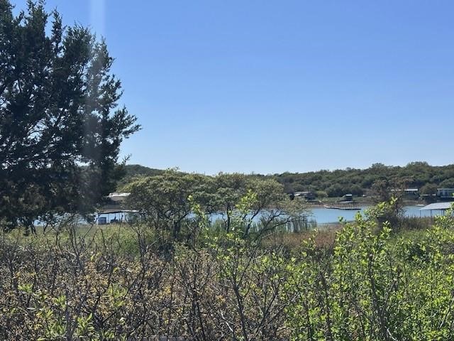 Lot 19 & 20 Hidden Shores Drive Cisco TX 76437