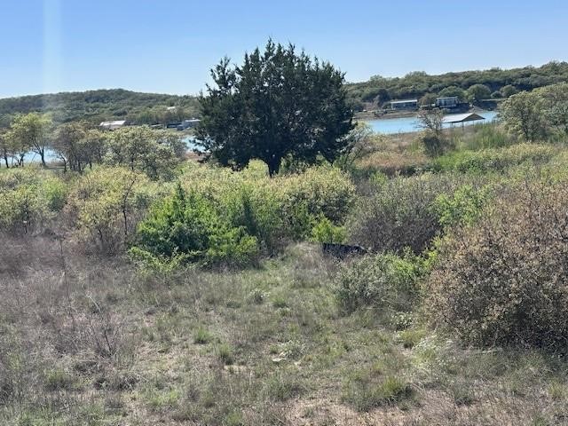 Lot 19 & 20 Hidden Shores Drive Cisco TX 76437
