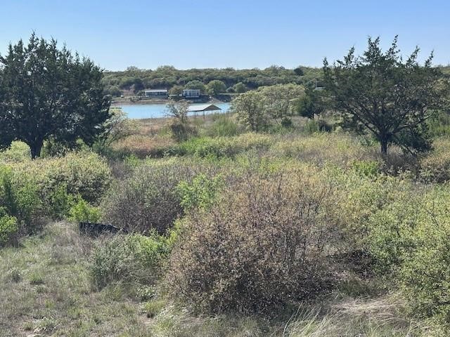 Lot 19 & 20 Hidden Shores Drive Cisco TX 76437