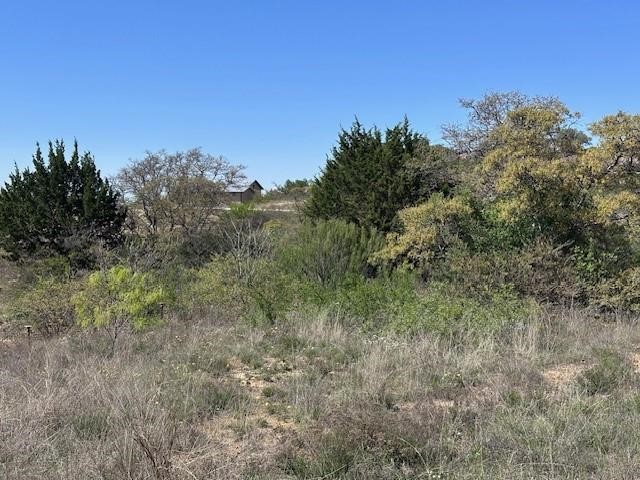 Lot 19 & 20 Hidden Shores Drive Cisco TX 76437