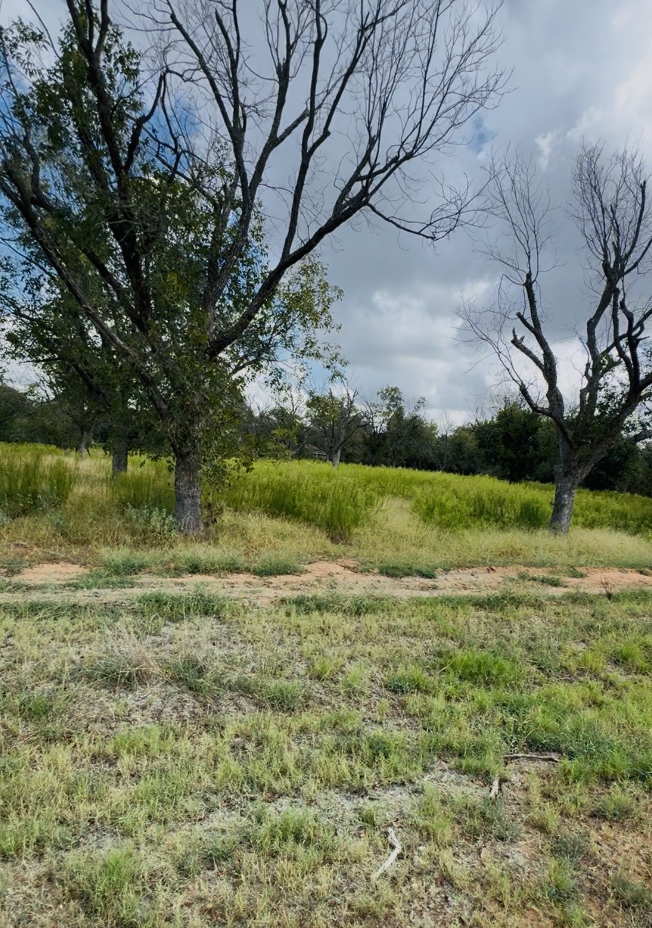 1036 E Landings N Granbury TX 76049