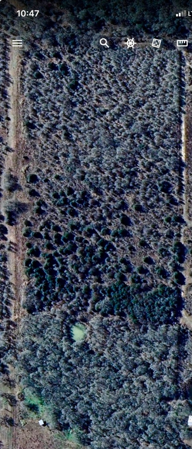 000 County Road 123 Ledbetter TX 78946