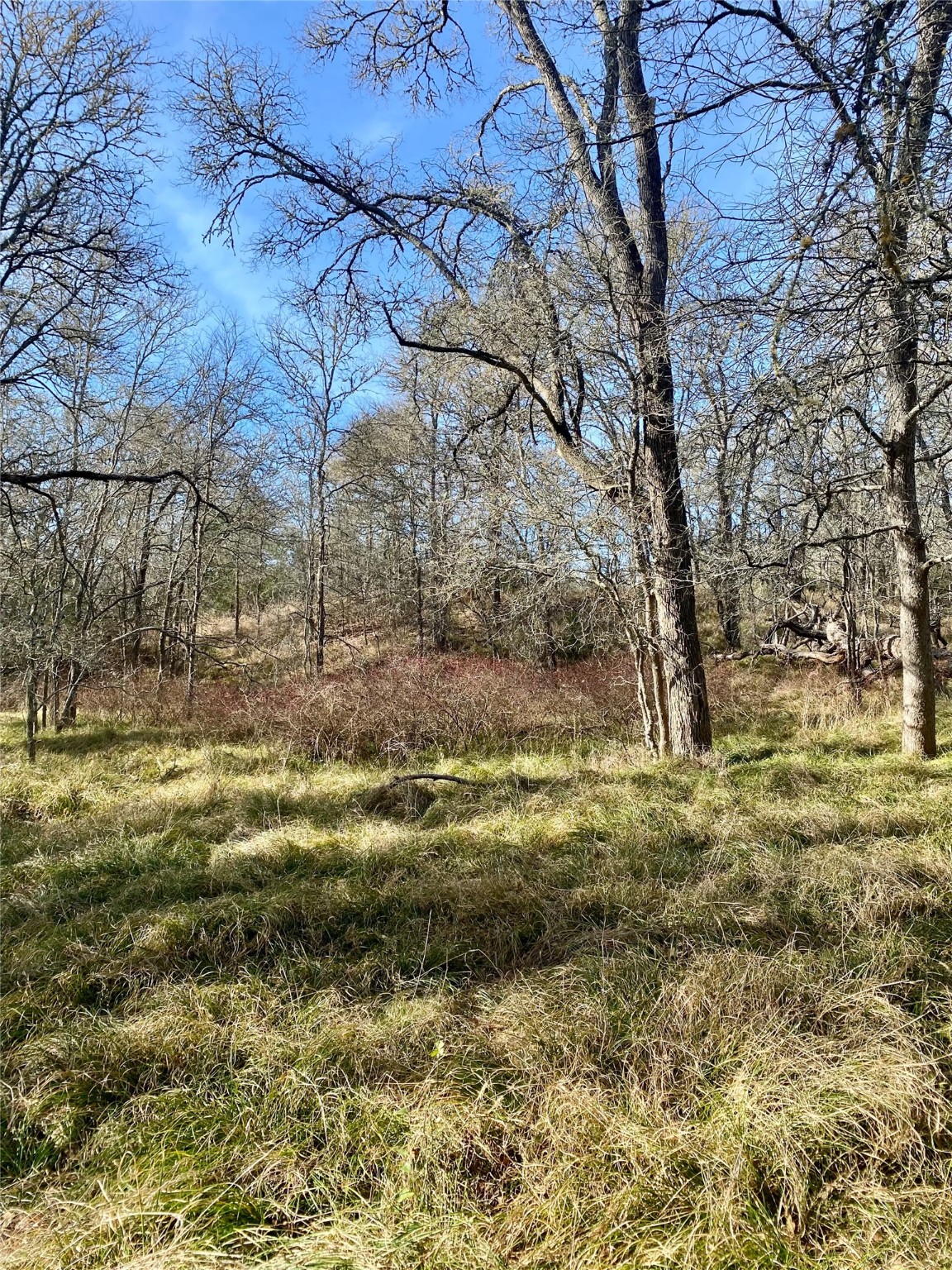 000 County Road 123 Ledbetter TX 78946