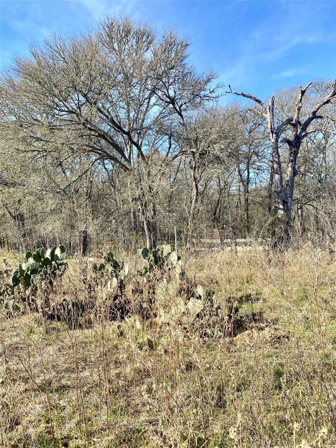 000 County Road 123 Ledbetter TX 78946