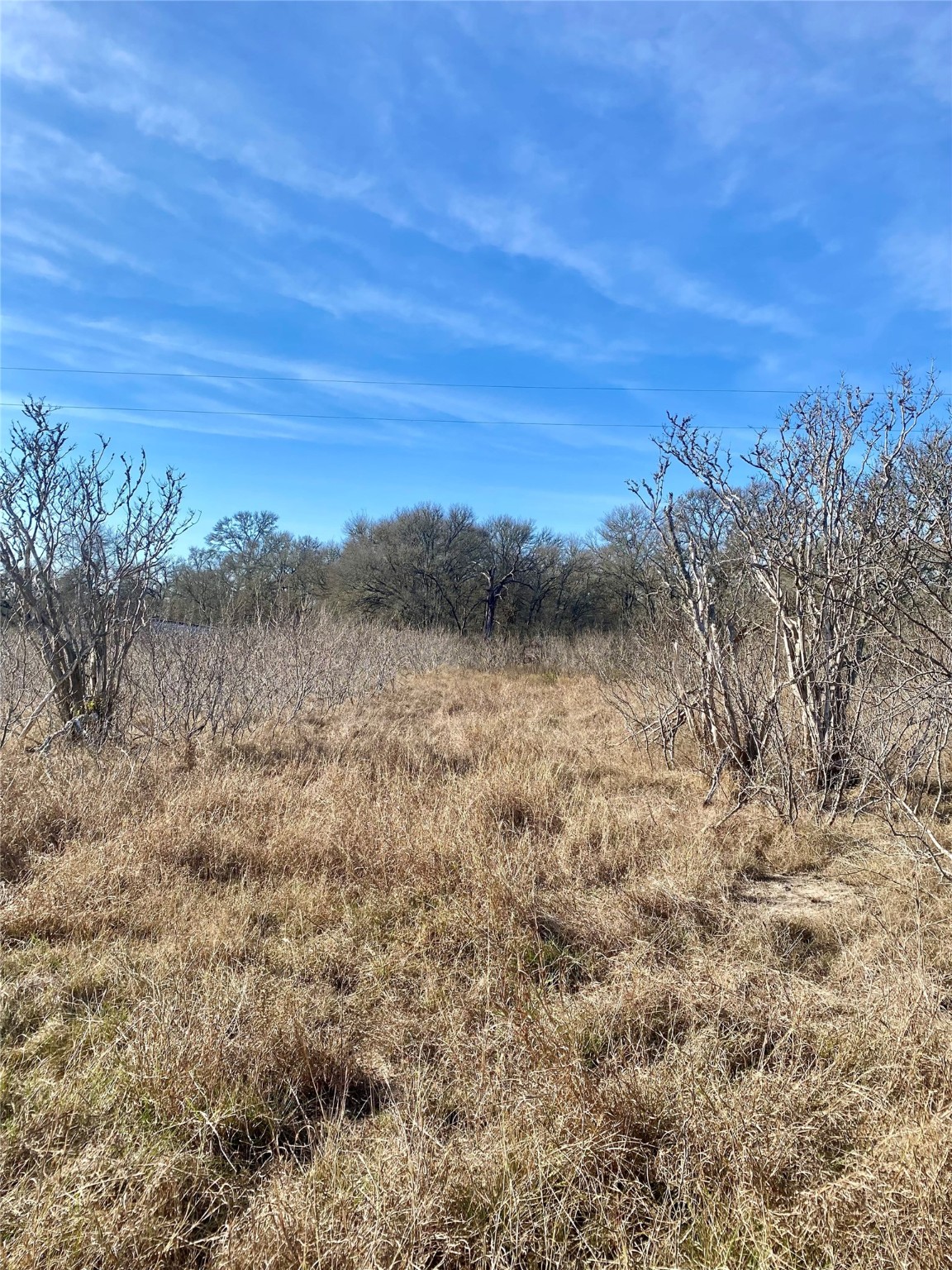 000 County Road 123 Ledbetter TX 78946