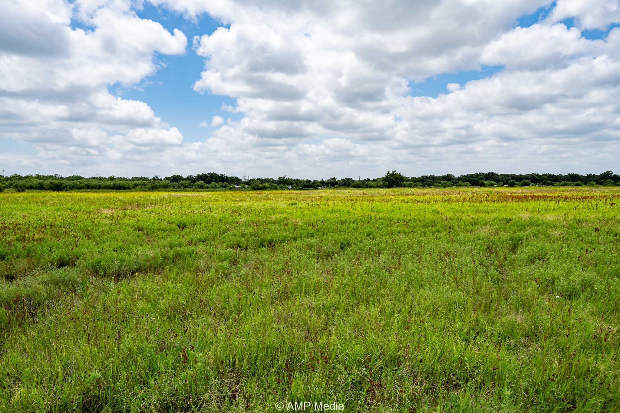 Tbd Fm 604 S Clyde TX 79510