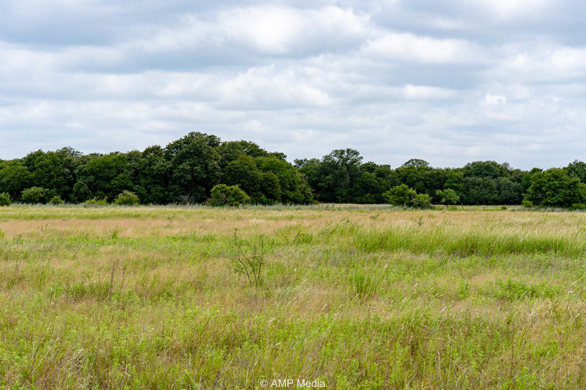 Tbd Fm 604 S Clyde TX 79510