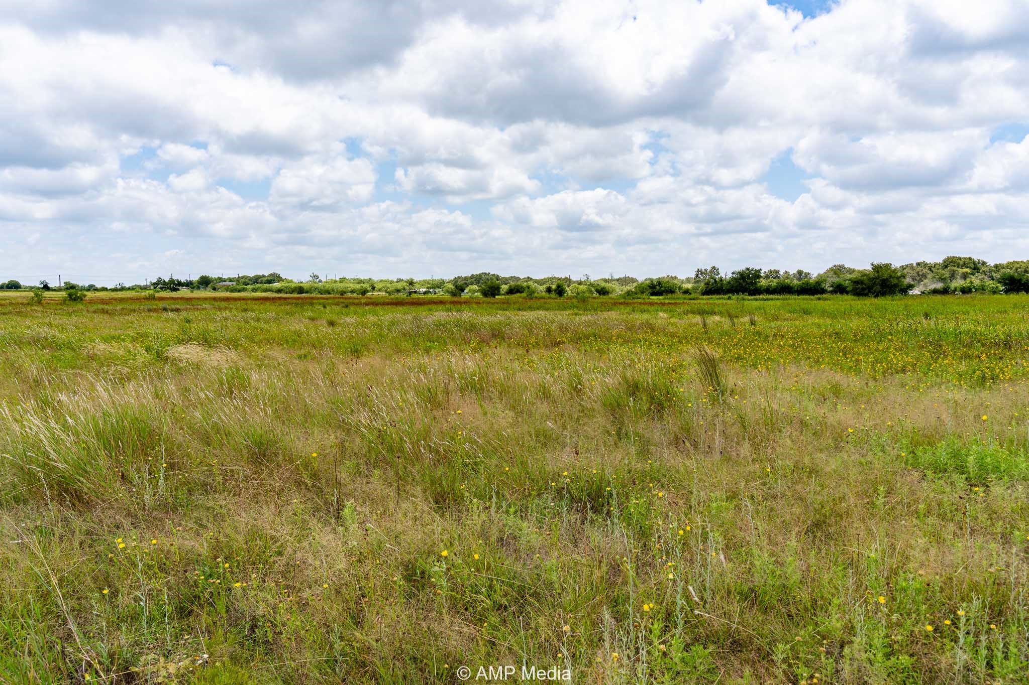 Tbd Fm 604 S Clyde TX 79510