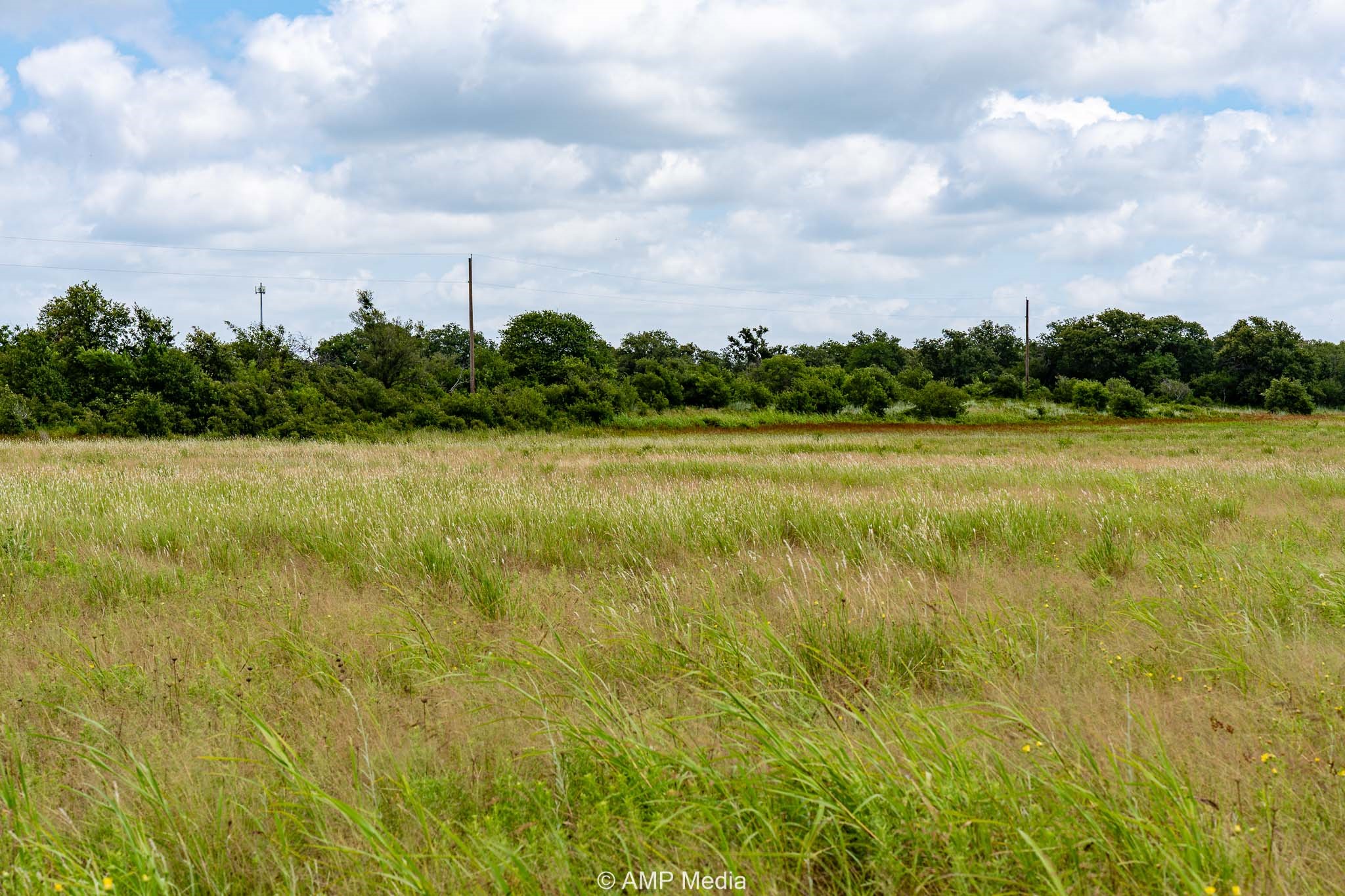 Tbd Fm 604 S Clyde TX 79510