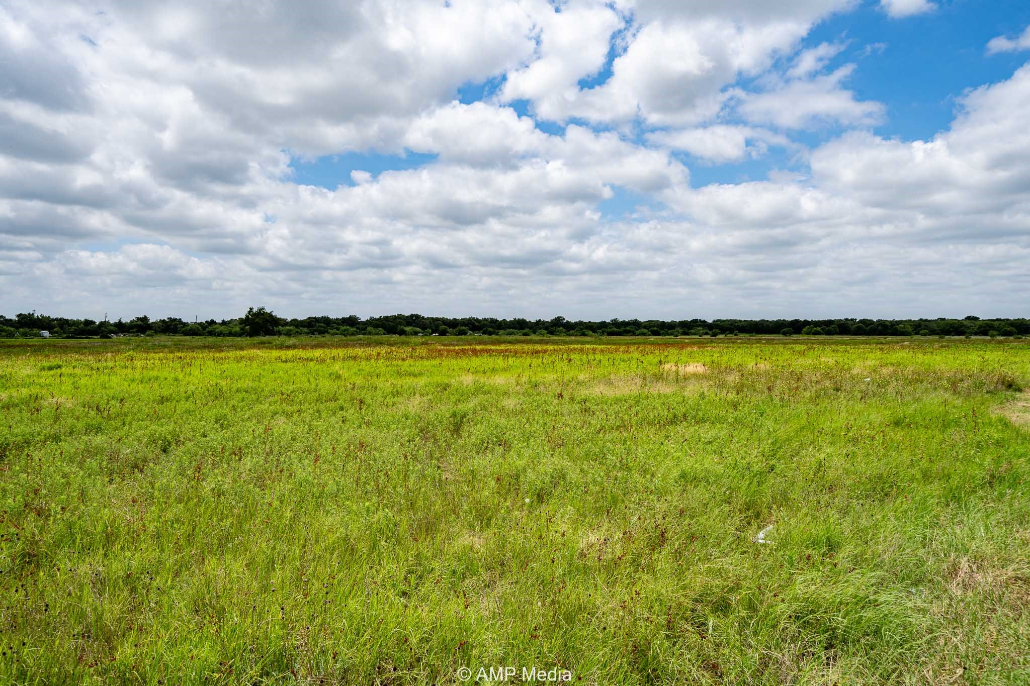 Tbd Fm 604 S Clyde TX 79510