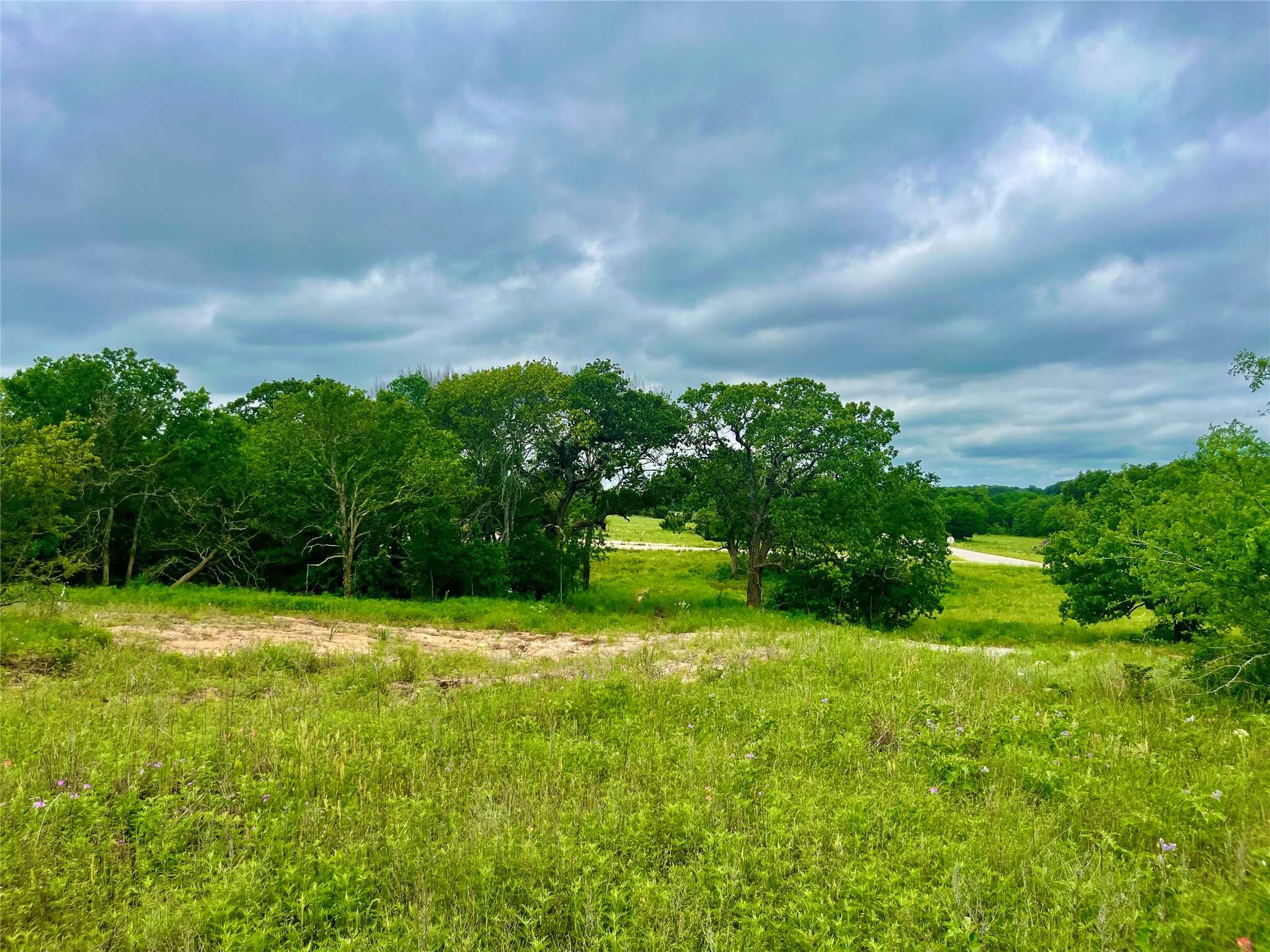 Lot 9 Clare Road Poolville TX 76487