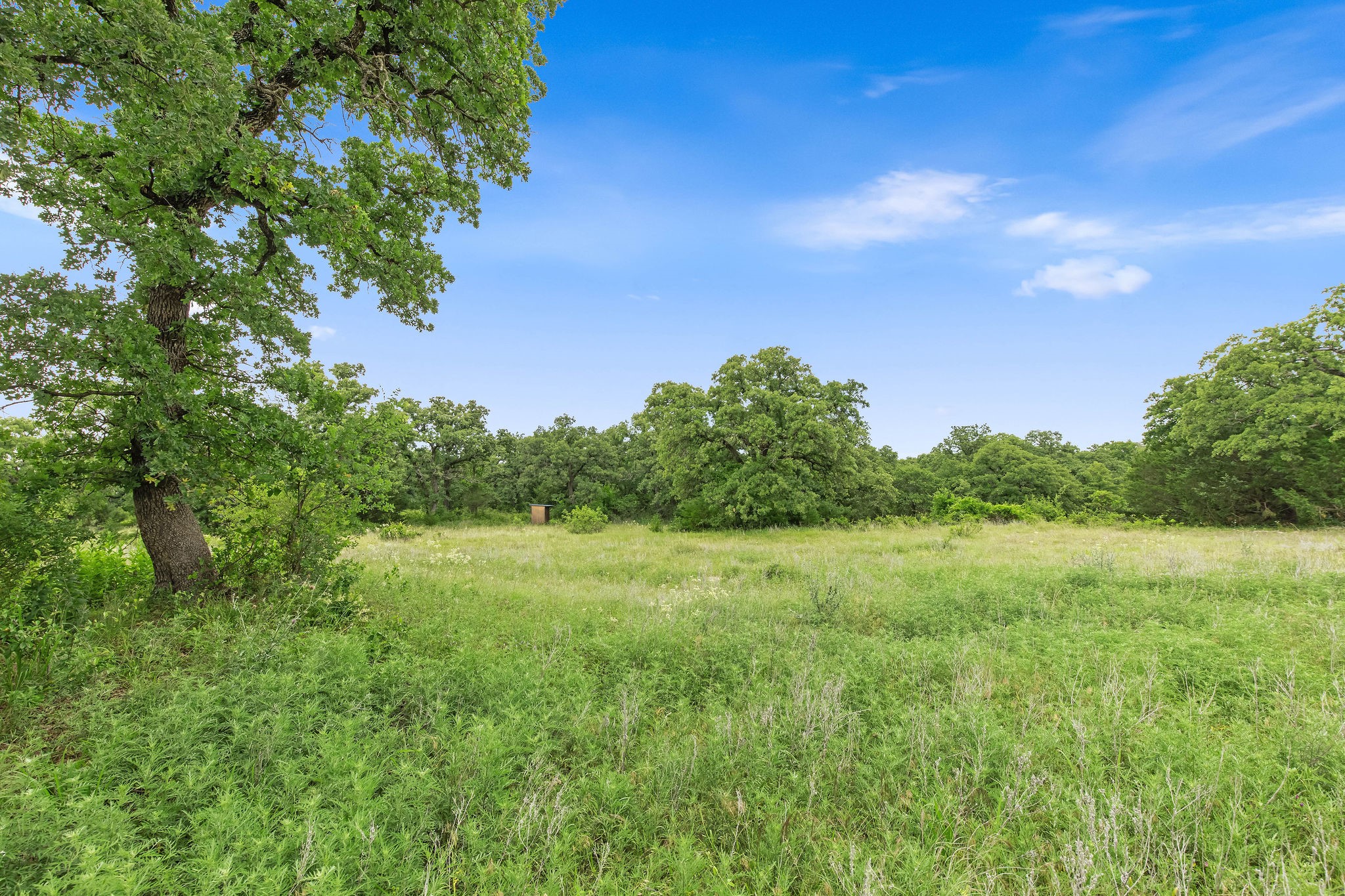 Tbd 82.29 Acres County Road 1790 Sunset TX 76270