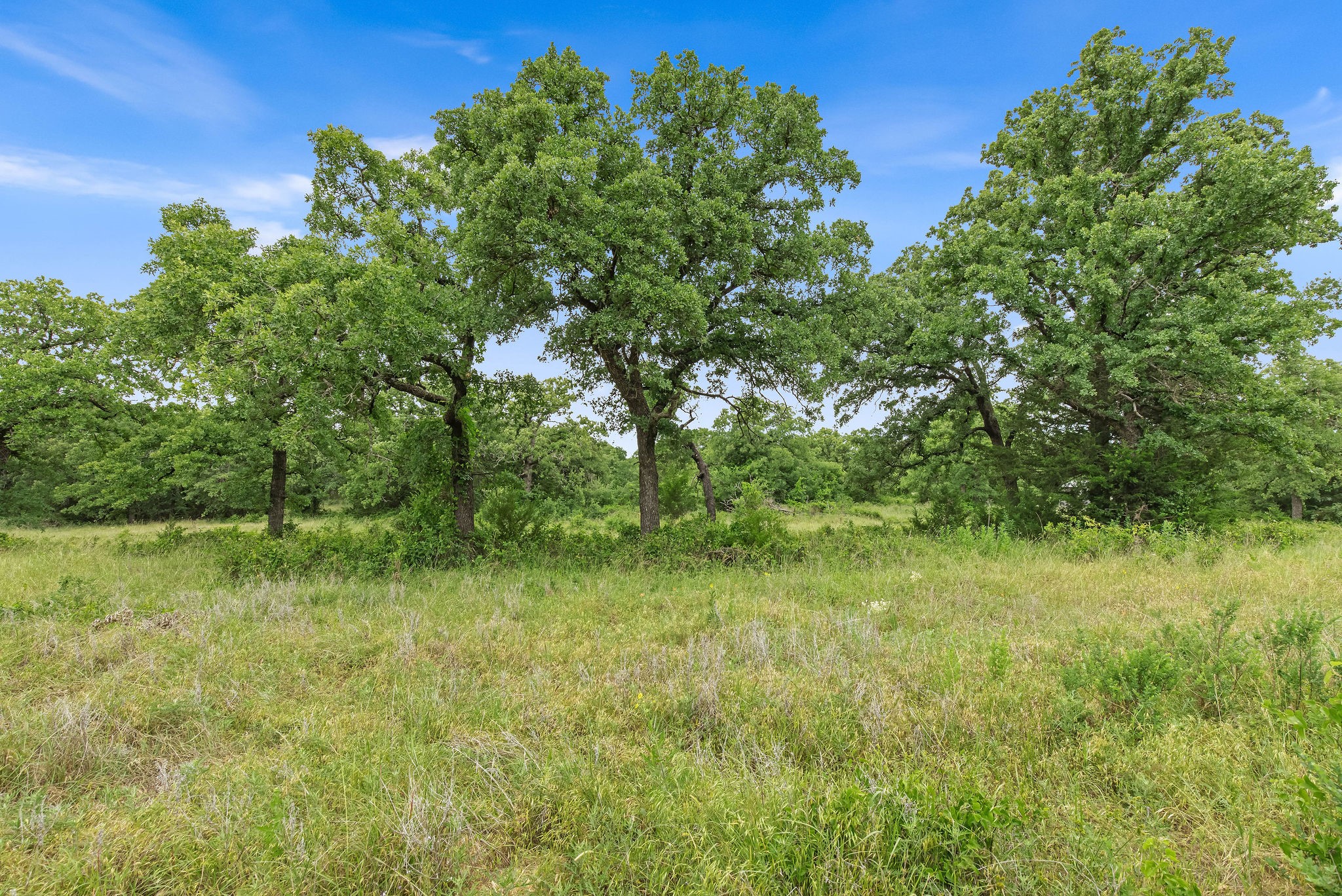 Tbd 82.29 Acres County Road 1790 Sunset TX 76270