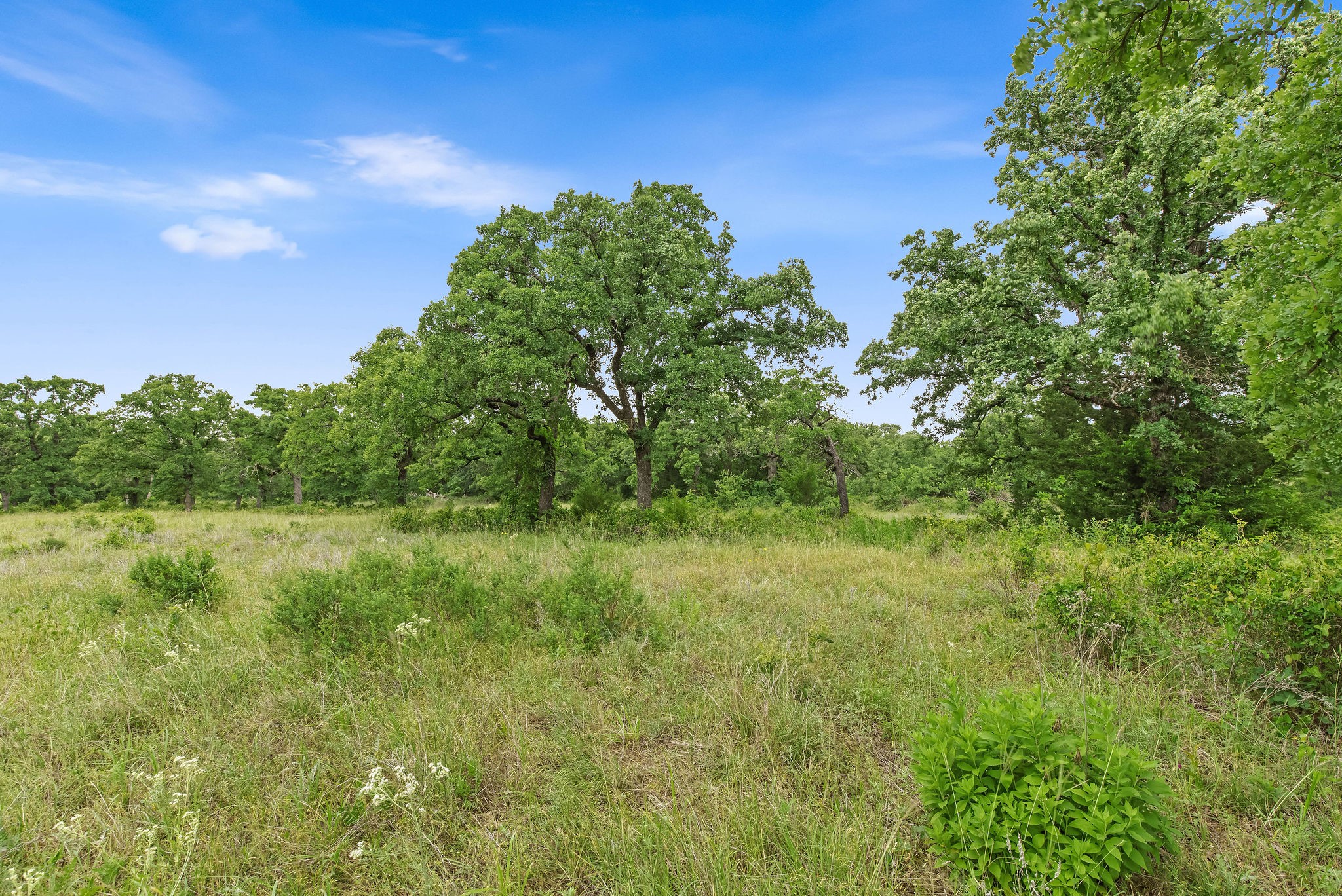 Tbd 82.29 Acres County Road 1790 Sunset TX 76270
