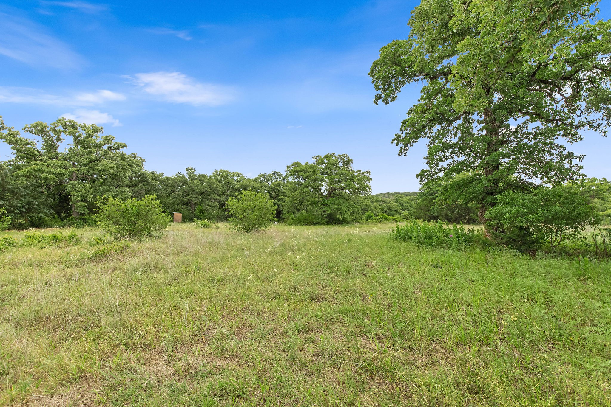 Tbd 82.29 Acres County Road 1790 Sunset TX 76270