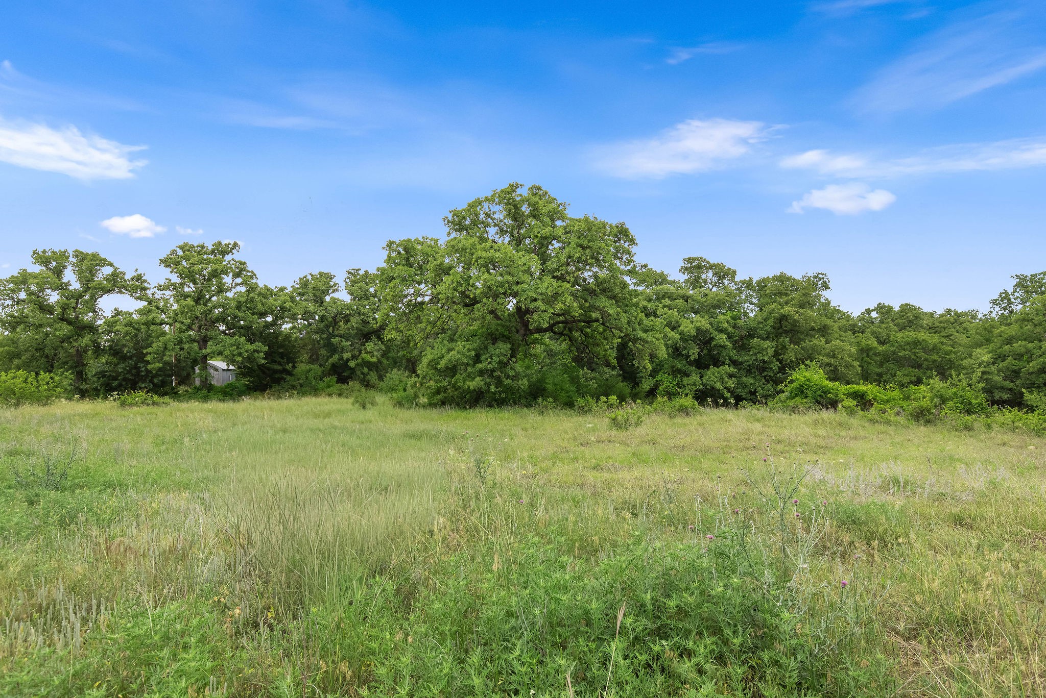 Tbd 82.29 Acres County Road 1790 Sunset TX 76270
