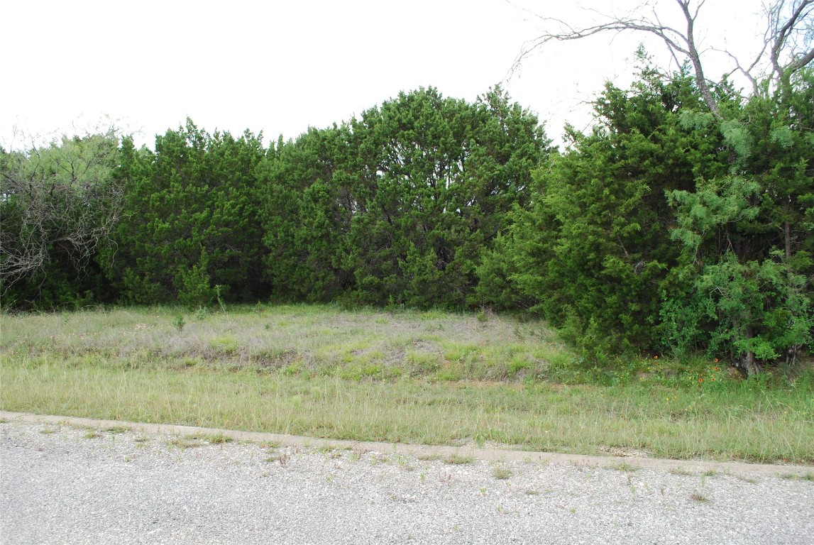 23067 Oak Ridge Drive Whitney TX 76692