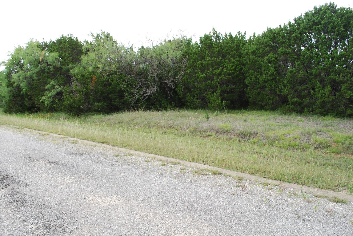 23067 Oak Ridge Drive Whitney TX 76692
