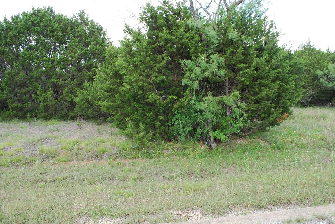 23067 Oak Ridge Drive Whitney TX 76692