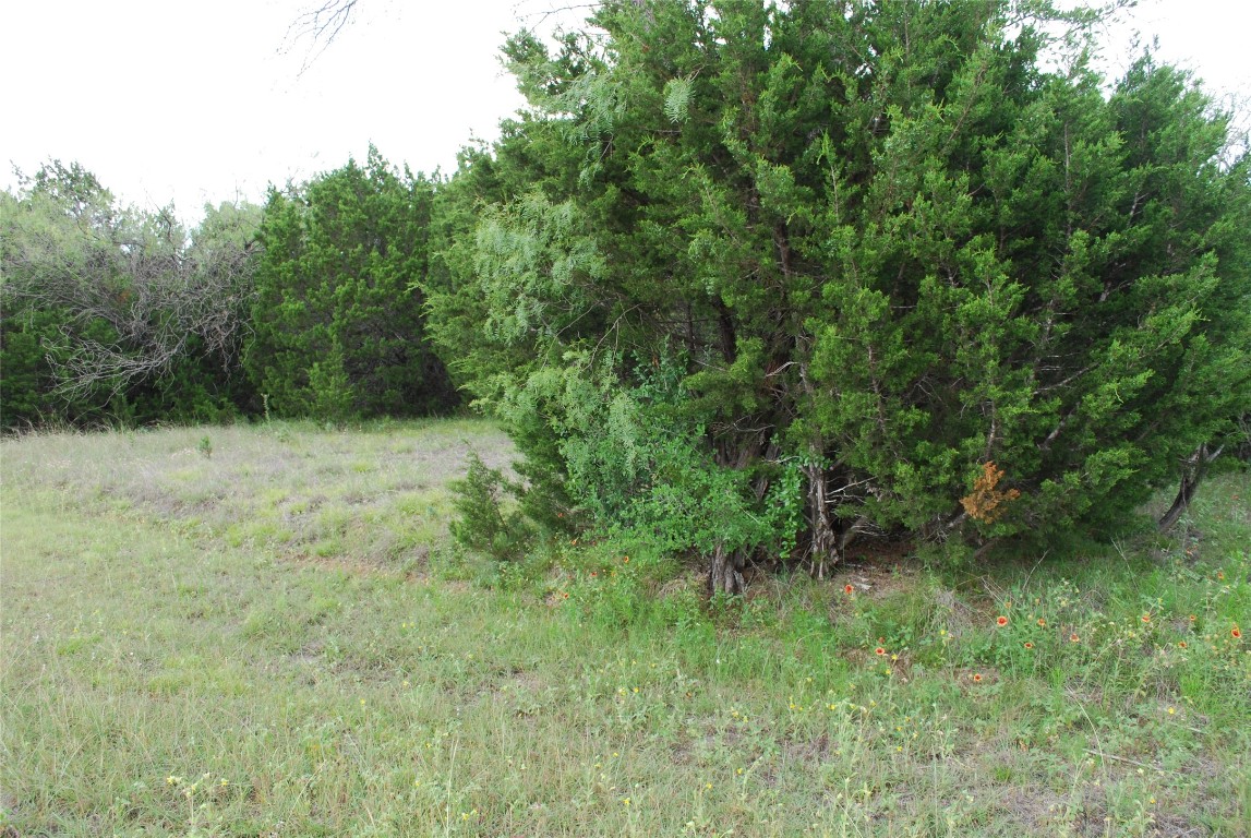 23067 Oak Ridge Drive Whitney TX 76692