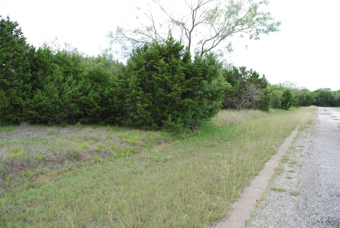 23067 Oak Ridge Drive Whitney TX 76692