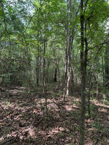Tbd Highway 259 Diana TX 75640