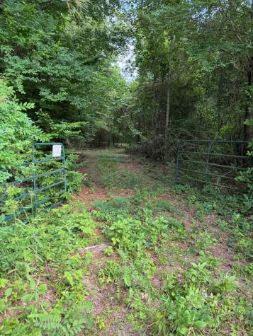 Tbd Highway 259 Diana TX 75640