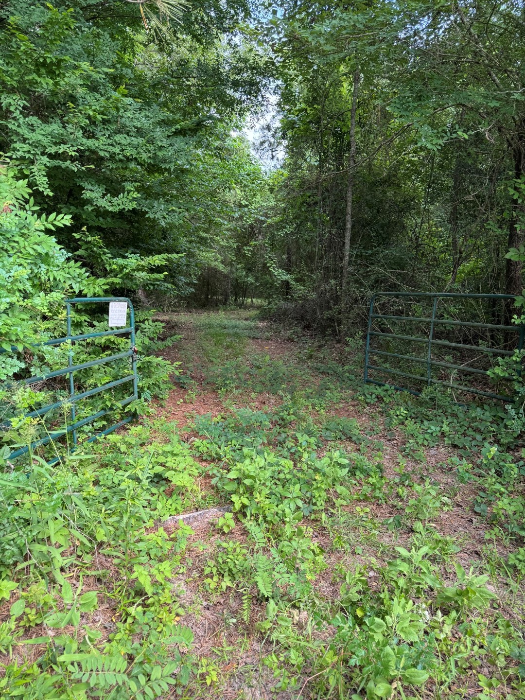 Tbd Highway 259 Diana TX 75640