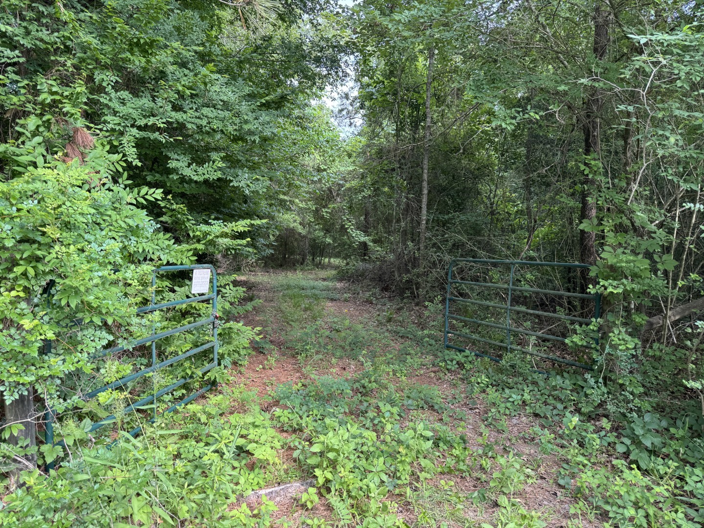 Tbd Highway 259 Diana TX 75640