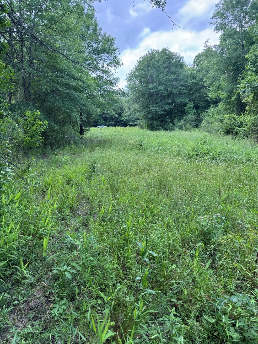 Tbd Highway 259 Diana TX 75640