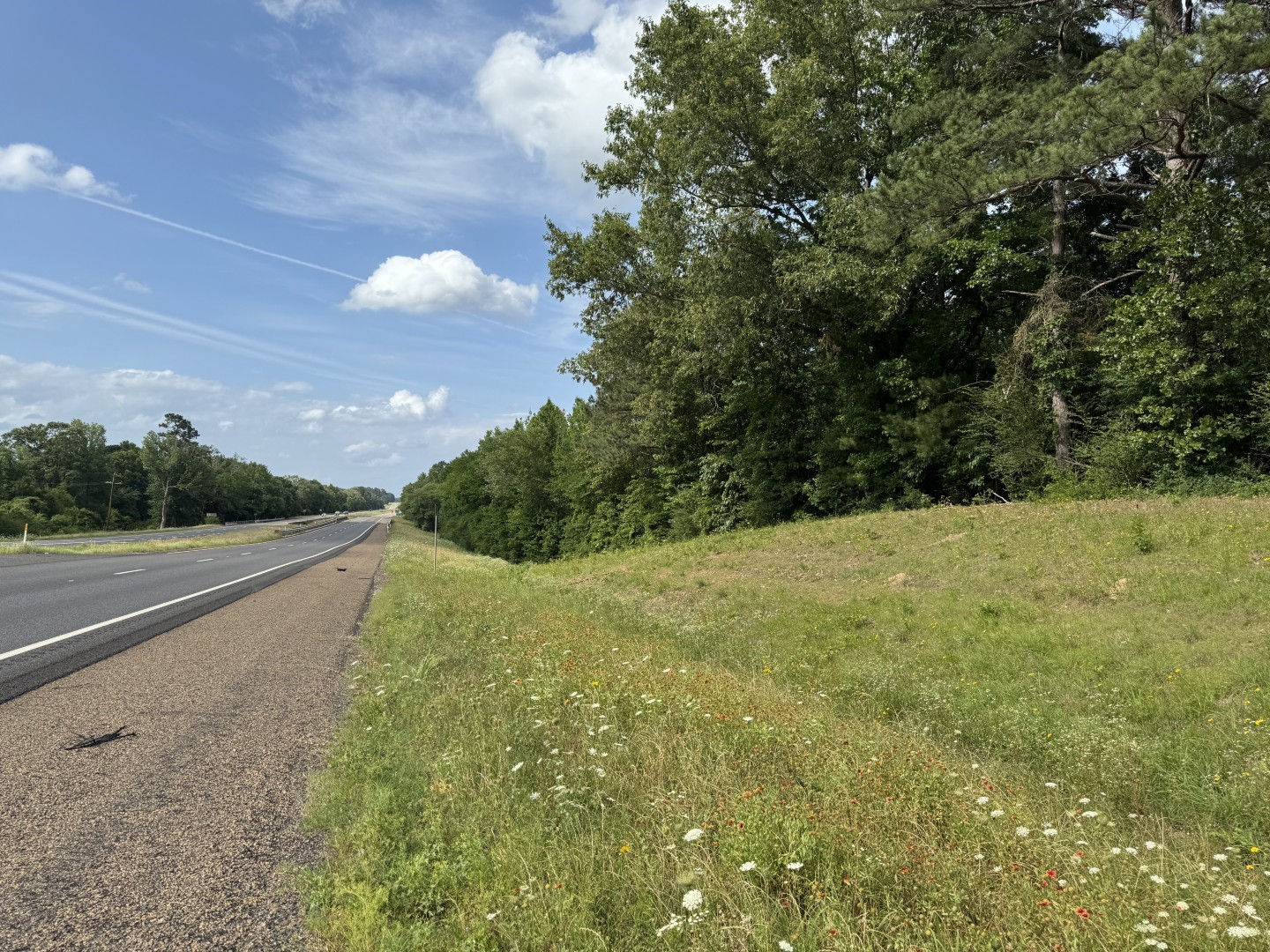 Tbd Highway 259 Diana TX 75640