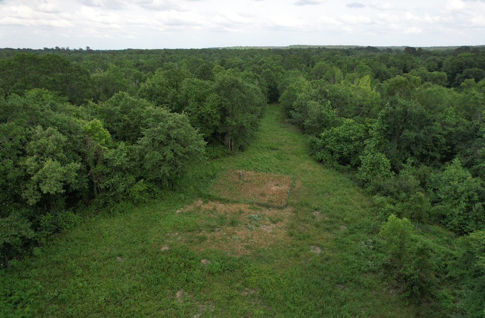 Tbd Highway 259 Diana TX 75640