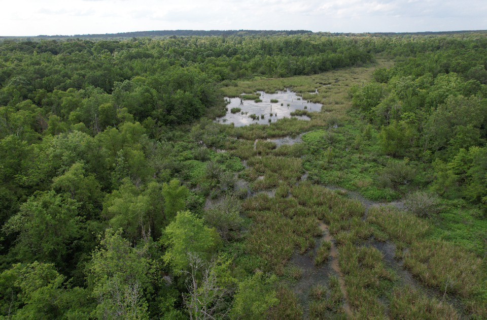 Tbd Highway 259 Diana TX 75640