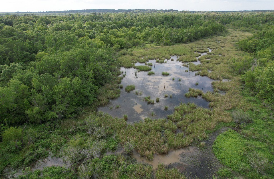 Tbd Highway 259 Diana TX 75640