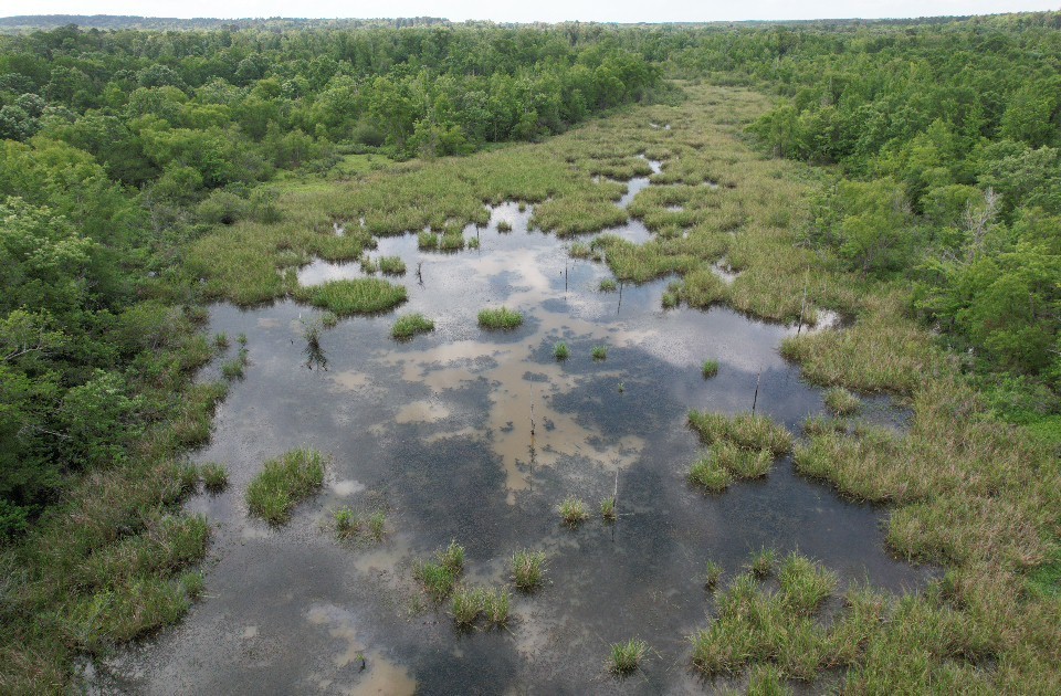 Tbd Highway 259 Diana TX 75640