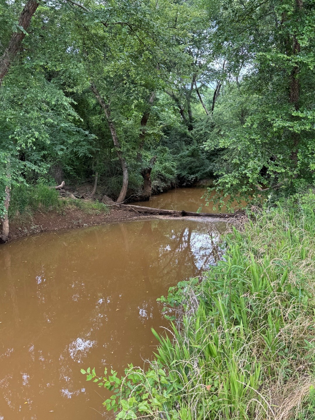 Tbd Highway 259 Diana TX 75640