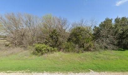 4515 Appletree Court Granbury TX 76048