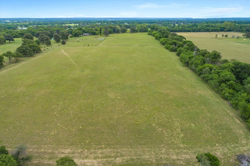 Tbd Vz County Road 4412 Ben Wheeler TX 75754