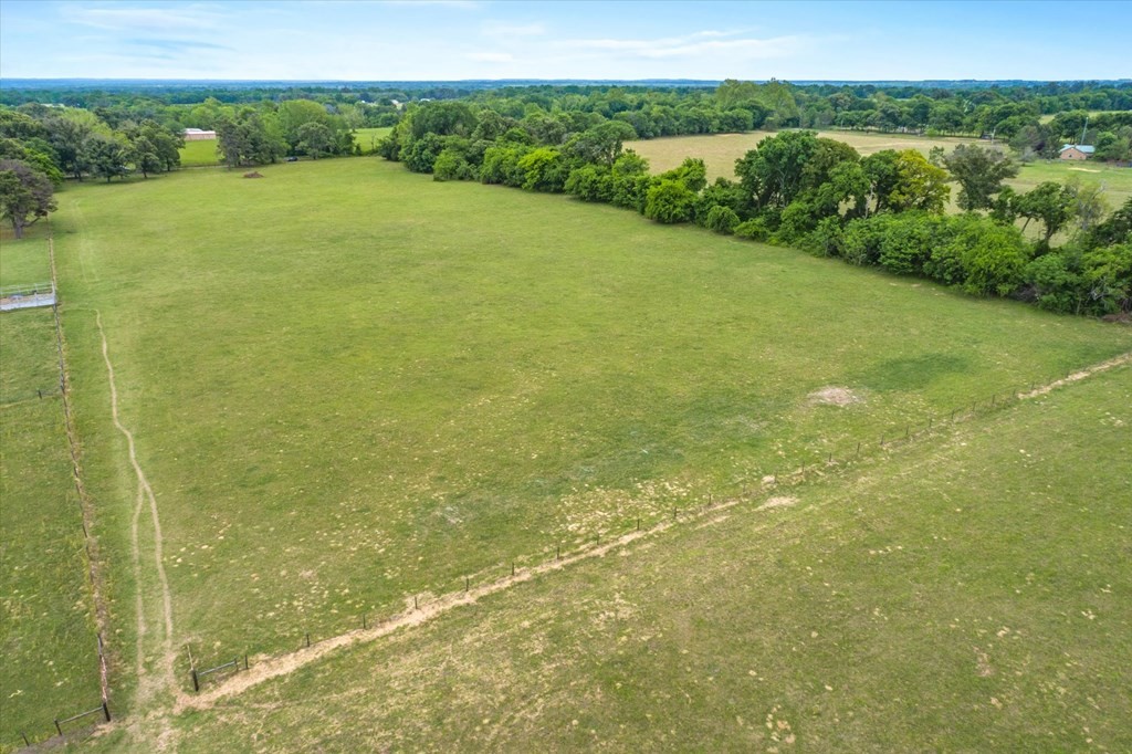 Tbd Vz County Road 4412 Ben Wheeler TX 75754