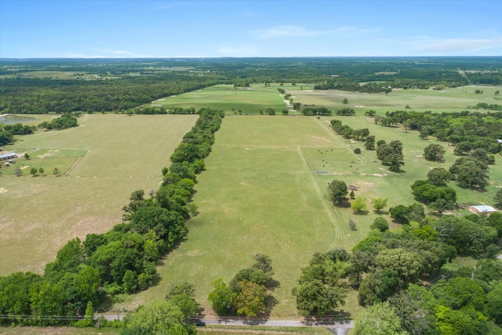 Tbd Vz County Road 4412 Ben Wheeler TX 75754