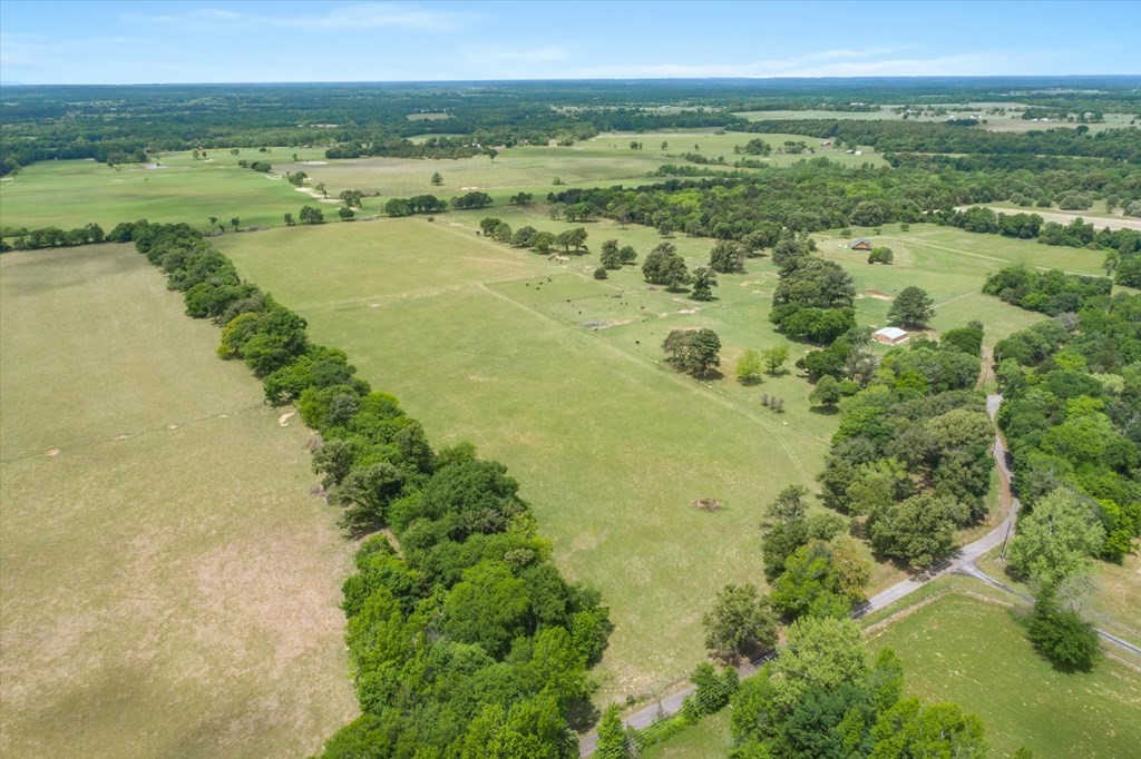 Tbd Vz County Road 4412 Ben Wheeler TX 75754